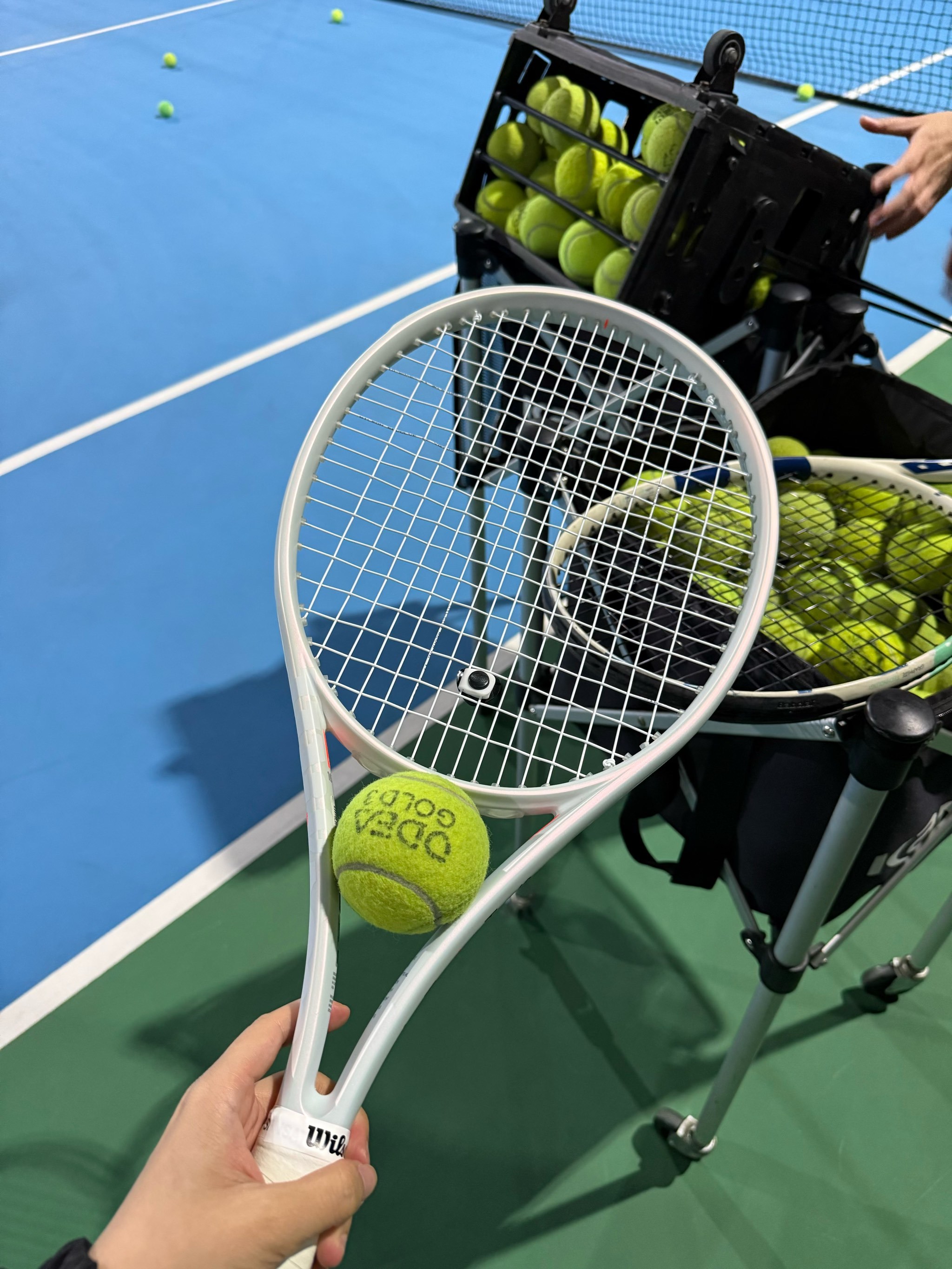 在积分榜上 在积分榜上