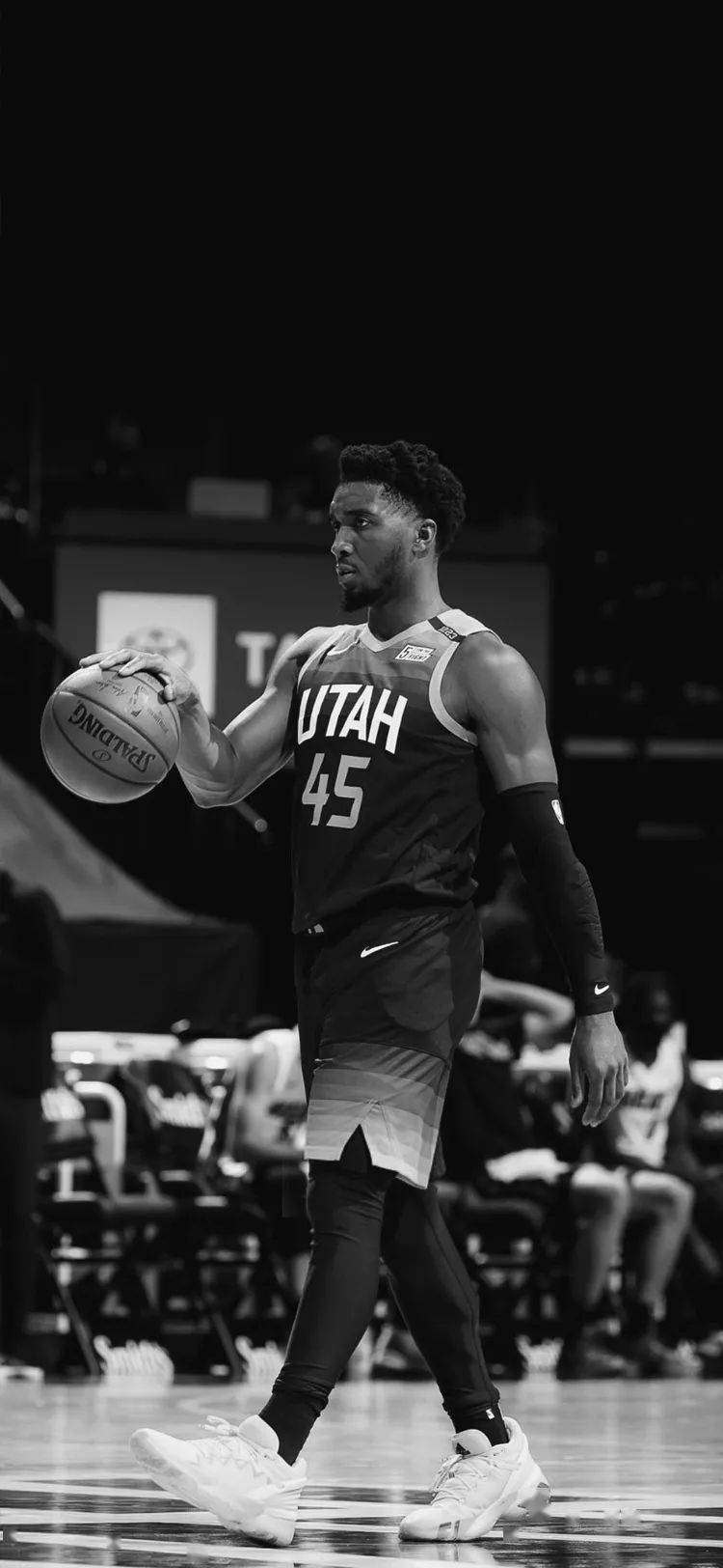 但在欢呼声 但在欢呼声