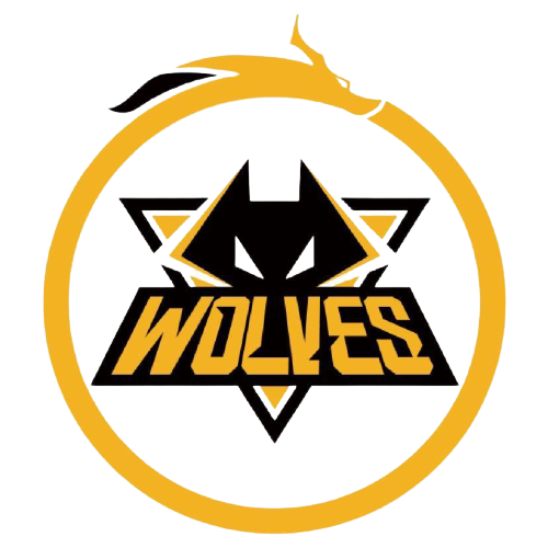 定了基础 定了基础